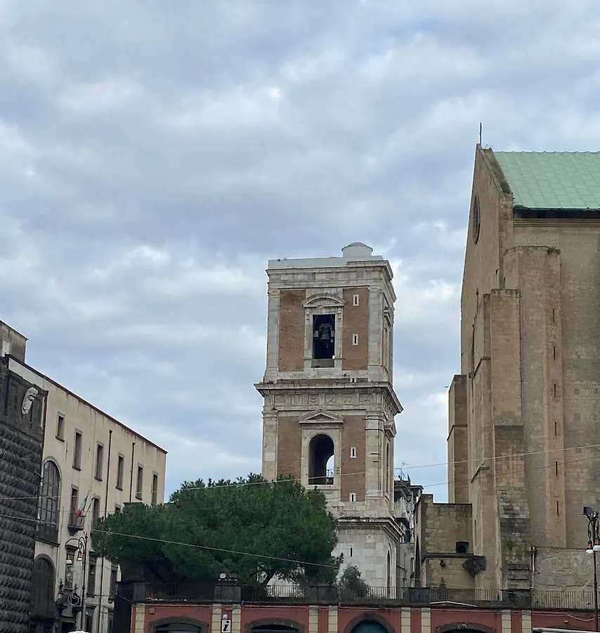 Ropelli Santa Chiara contacts